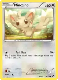Minccino · Black & White · 88/114