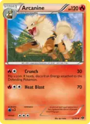 Arcanine · Next Destinies · 13/99