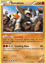 Terrakion · BW Black Star Promos · BW71/101