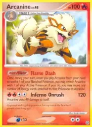 Arcanine · Secret Wonders · 22/132