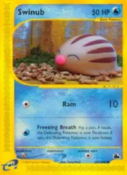 Swinub · Skyridge · 107/144