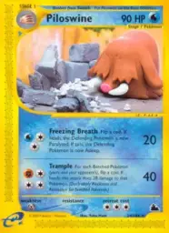 Piloswine · Skyridge · 24/144