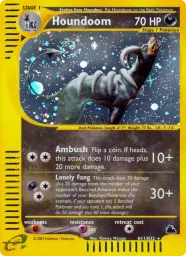 Houndoom · Skyridge · H11/144