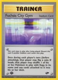 Fuchsia City Gym · Gym Challenge · 114/132