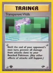 Transparent Walls · Gym Challenge · 125/132