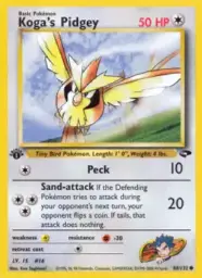Koga's Pidgey · Gym Challenge · 80/132