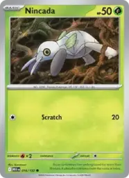 Reference image of Nincada, Mega Evolution