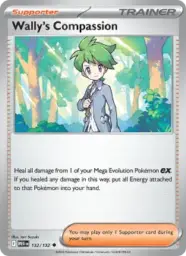 Reference image of Wally's Compassion, Mega Evolution
