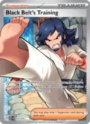 Reference image of Black Belt's Training, Ascended Heroes