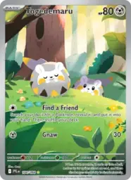 Reference image of Togedemaru, Phantasmal Flames