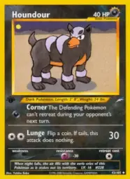 Houndour · Neo Destiny · 43/105