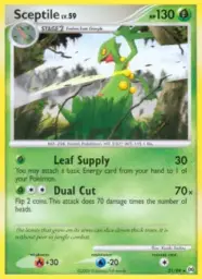 Sceptile · Arceus · 31/99