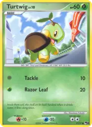 Turtwig · POP Series 6 · 17/17