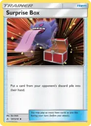 Surprise Box · Unbroken Bonds · 187/214