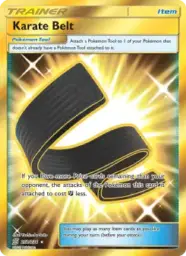 Karate Belt · Unified Minds · 252/236