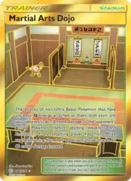 Martial Arts Dojo · Cosmic Eclipse · 268/236