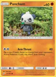 Pancham · Team Up · 81/181