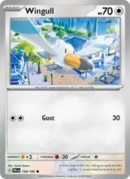 Reference image of Wingull, Paldea Evolved
