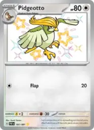 Reference image of Pidgeotto, Paldean Fates