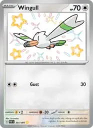 Reference image of Wingull, Paldean Fates
