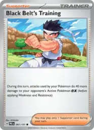 Reference image of Black Belt's Training, Prismatic Evolutions