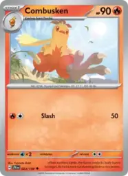 Reference image of Combusken, Journey Together