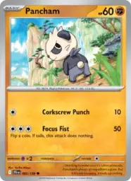 Reference image of Pancham, Journey Together
