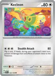Reference image of Kecleon, Journey Together