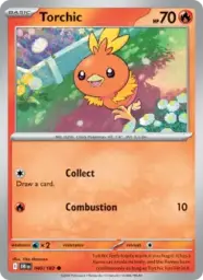 Reference image of Torchic, Destined Rivals
