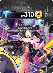 Morpeko V-UNION · SWSH Black Star Promos · SWSH288/307