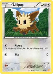 Lillipup · BW trainer Kit (Excadrill) · 27/30