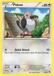 Pidove · BW trainer Kit (Zoroark) · 21/30