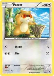Patrat · BW trainer Kit (Zoroark) · 29/30