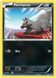 Poochyena · Kalos Starter Set · 16/39