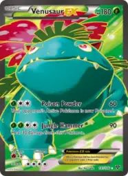 Venusaur EX · XY · 141/146