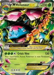 M Venusaur EX · XY · 2/146