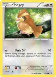 Pidgey · Flashfire · 75/106
