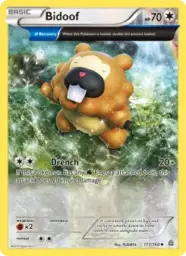 Bidoof · Primal Clash · 117/160
