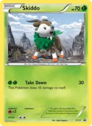 Skiddo · XY Black Star Promos · XY11/211