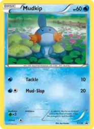Mudkip · XY Black Star Promos · XY38/211